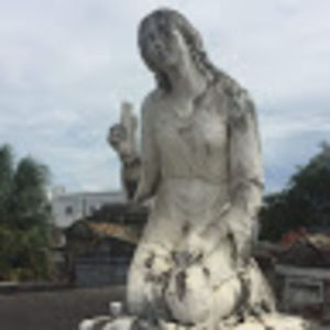 Meet your Posher, Ann